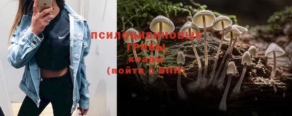 не бодяженный Аркадак